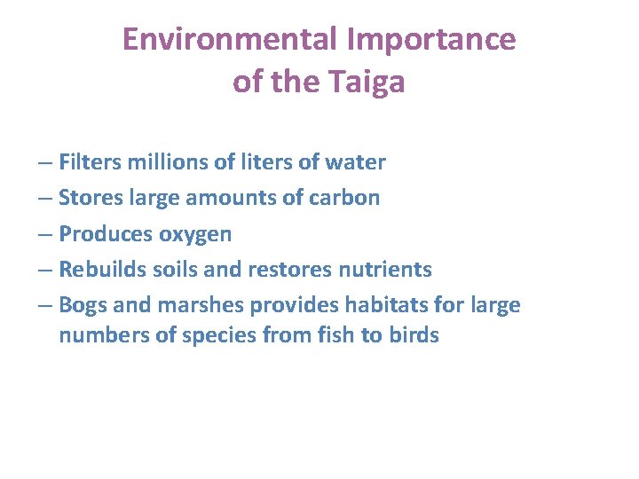 Environmental Importance of the Taiga – Filters millions of liters of water – Stores