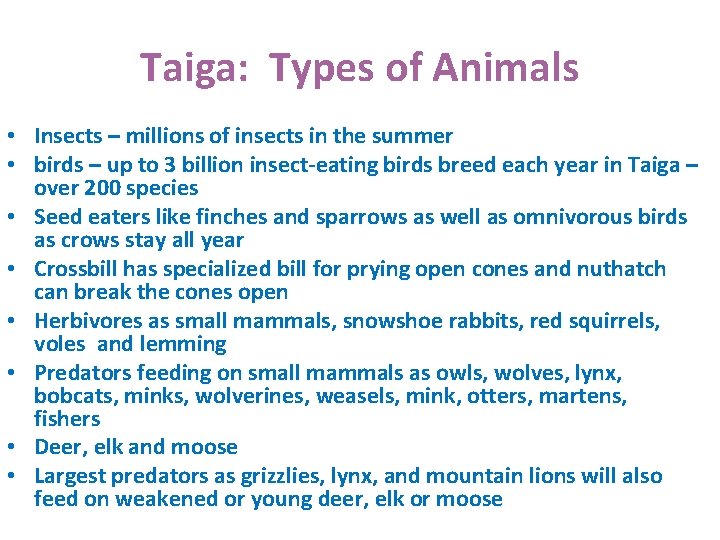 Taiga: Types of Animals • Insects – millions of insects in the summer •