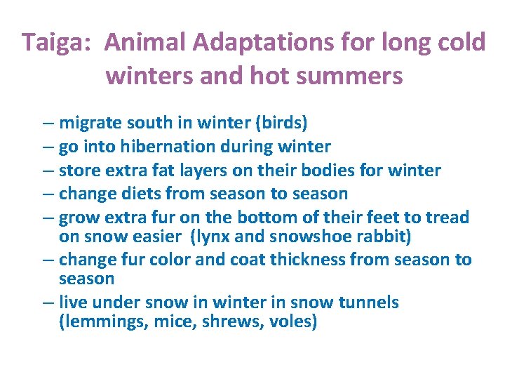 Taiga: Animal Adaptations for long cold winters and hot summers – migrate south in