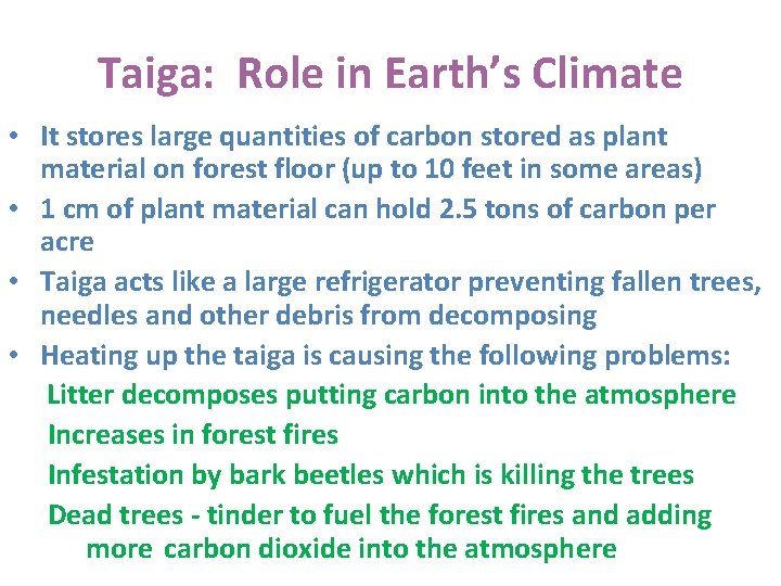 Taiga: Role in Earth’s Climate • It stores large quantities of carbon stored as