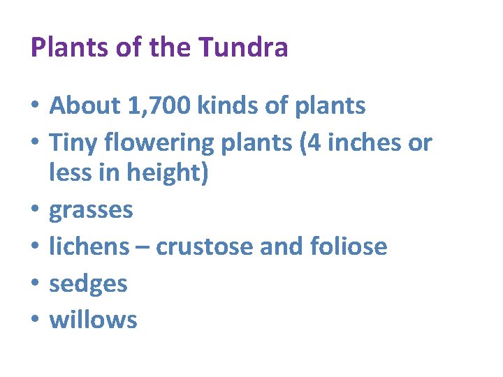 Plants of the Tundra • About 1, 700 kinds of plants • Tiny flowering