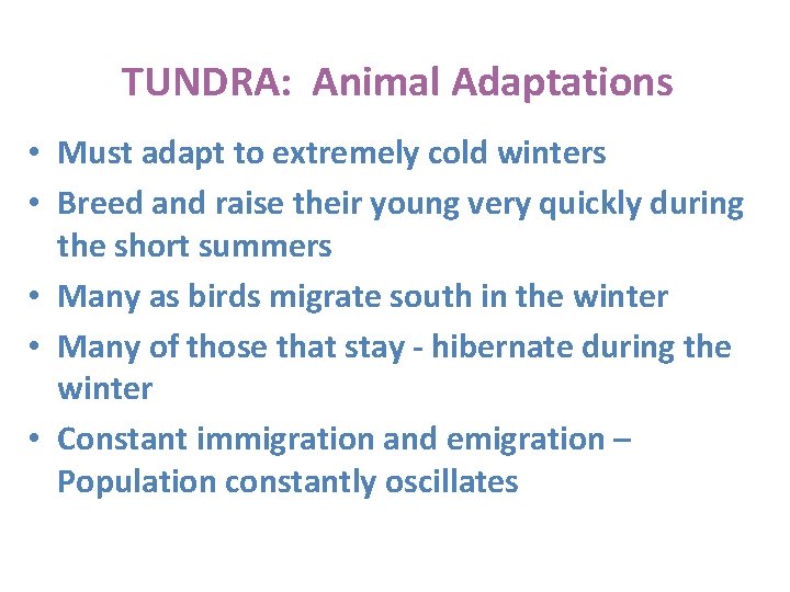 TUNDRA: Animal Adaptations • Must adapt to extremely cold winters • Breed and raise