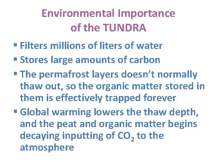 Environmental Importance of the TUNDRA § Filters millions of liters of water § Stores