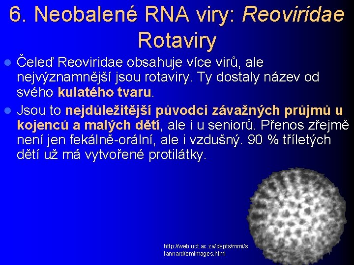 6. Neobalené RNA viry: Reoviridae Rotaviry Čeleď Reoviridae obsahuje více virů, ale nejvýznamnější jsou