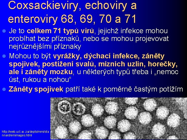 Coxsackieviry, echoviry a enteroviry 68, 69, 70 a 71 Je to celkem 71 typů