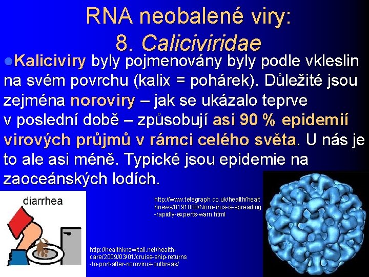 RNA neobalené viry: 8. Caliciviridae l. Kaliciviry byly pojmenovány byly podle vkleslin na svém