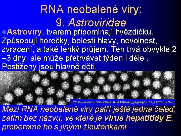 RNA neobalené viry: 9. Astroviridae l. Astroviry, tvarem připomínají hvězdičku. Způsobují horečky, bolesti hlavy,