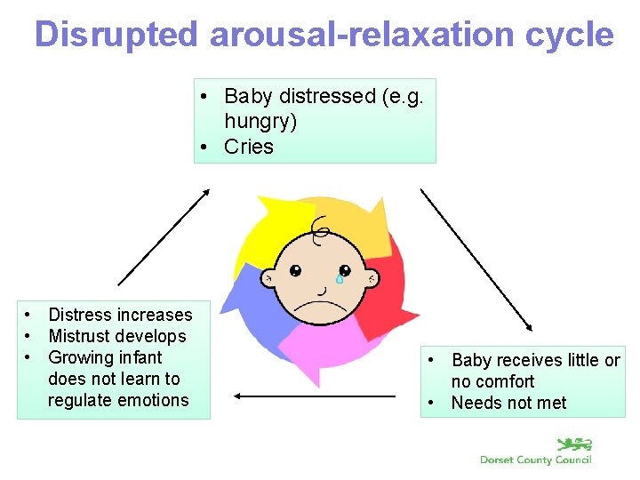 Disrupted arousal-relaxation cycle • Baby distressed (e. g. hungry) • Cries • Distress increases