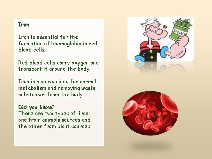 Iron is essential for the formation of haemoglobin in red blood cells. Red blood