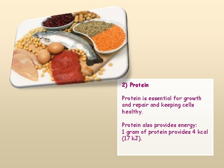 2) Protein is essential for growth and repair and keeping cells healthy. Protein also