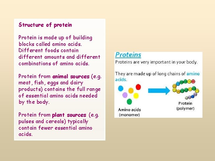 Structure of protein Protein is made up of building blocks called amino acids. Different