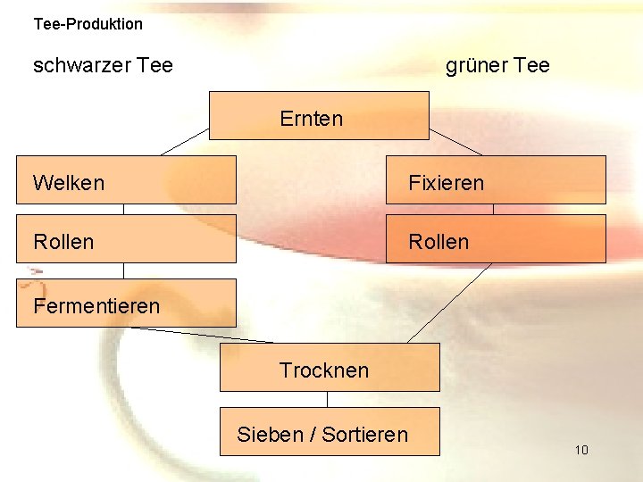 Tee-Produktion schwarzer Tee grüner Tee Ernten Welken Fixieren Rollen Fermentieren Trocknen Sieben / Sortieren