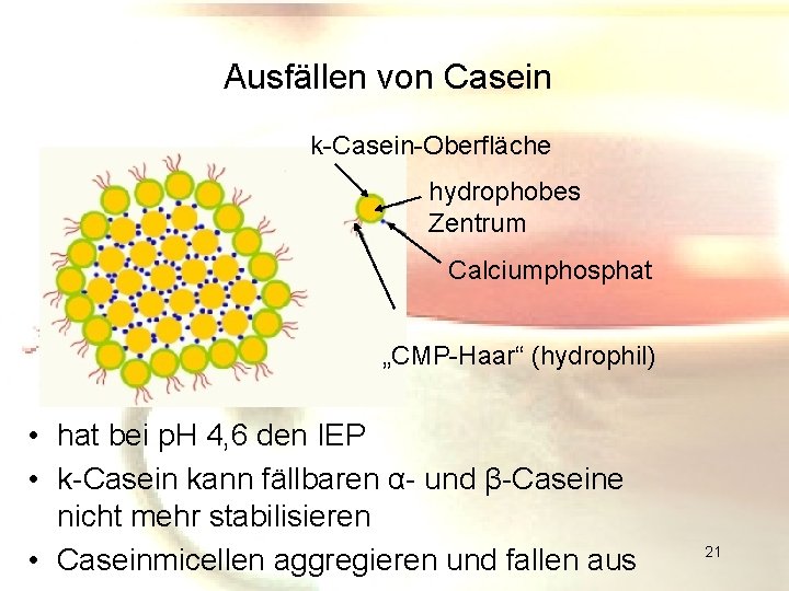 Ausfällen von Casein k-Casein-Oberfläche hydrophobes Zentrum Calciumphosphat „CMP-Haar“ (hydrophil) • hat bei p. H