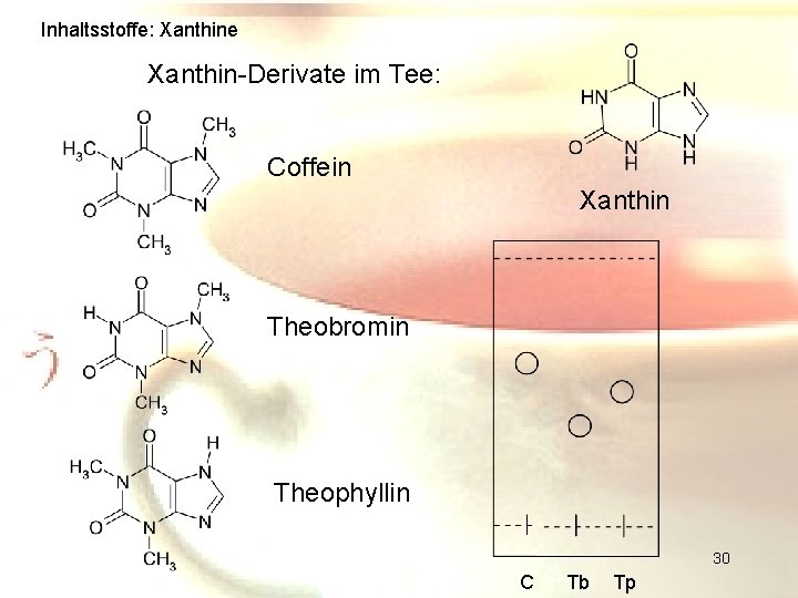 Inhaltsstoffe: Xanthine Xanthin-Derivate im Tee: Coffein Xanthin Theobromin Theophyllin 30 C Tb Tp 