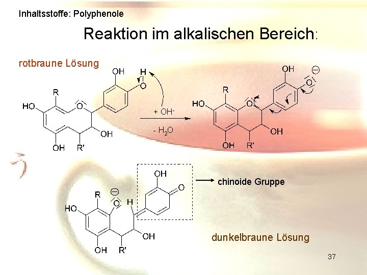 Inhaltsstoffe: Polyphenole Reaktion im alkalischen Bereich: rotbraune Lösung + OH- - H 2 O