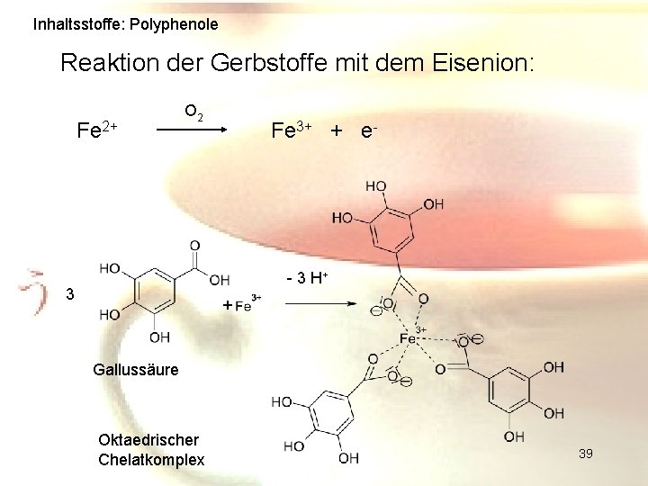 Inhaltsstoffe: Polyphenole Reaktion der Gerbstoffe mit dem Eisenion: Fe 2+ O 2 Fe 3+