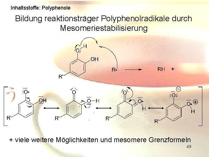 Inhaltsstoffe: Polyphenole Bildung reaktionsträger Polyphenolradikale durch Mesomeriestabilisierung + + . + viele weitere Möglichkeiten