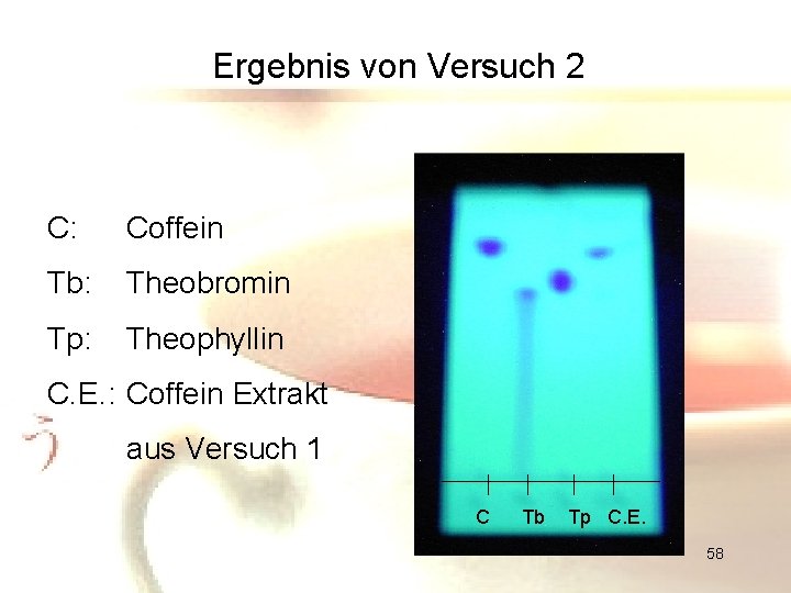 Ergebnis von Versuch 2 C: Coffein Tb: Theobromin Tp: Theophyllin C. E. : Coffein