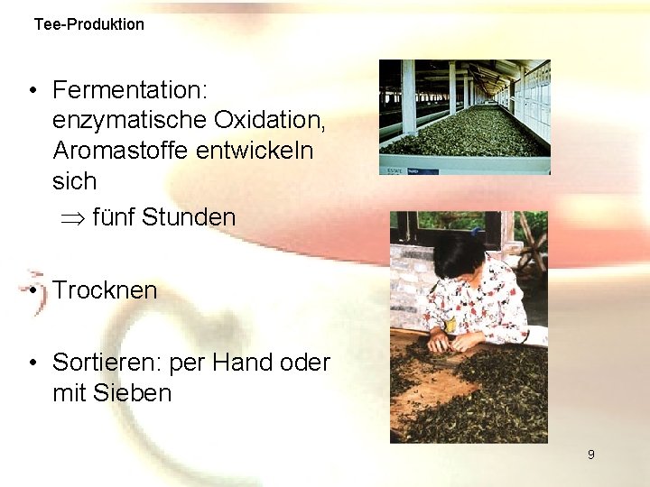 Tee-Produktion • Fermentation: enzymatische Oxidation, Aromastoffe entwickeln sich Þ fünf Stunden • Trocknen •