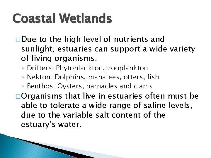 Coastal Wetlands � Due to the high level of nutrients and sunlight, estuaries can