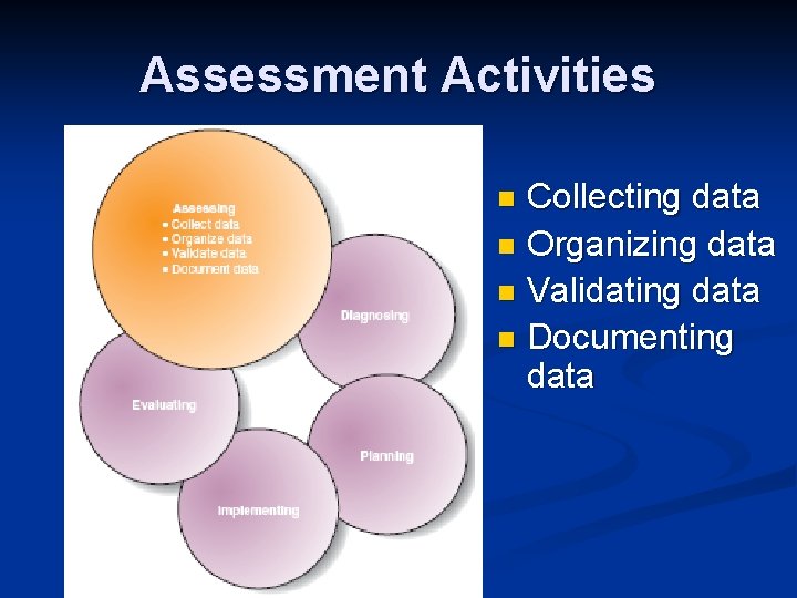 Assessment Activities Collecting data n Organizing data n Validating data n Documenting data n