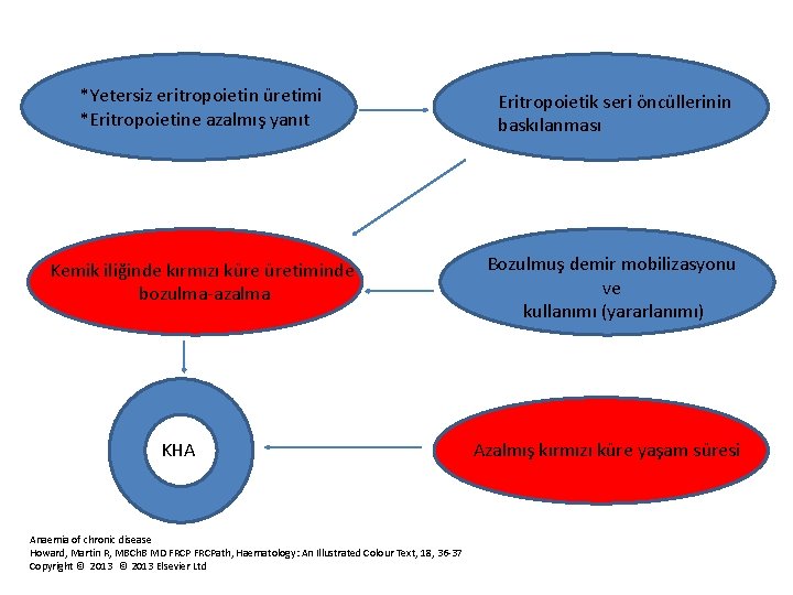 *Yetersiz eritropoietin üretimi *Eritropoietine azalmış yanıt Eritropoietik seri öncüllerinin baskılanması Kemik iliğinde kırmızı küre