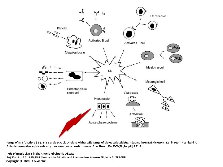 Range of IL-6 functions ( 5 ). IL-6 is a pleiotropic cytokine with a