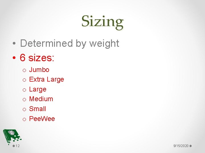 Sizing • Determined by weight • 6 sizes: o o o 12 Jumbo Extra