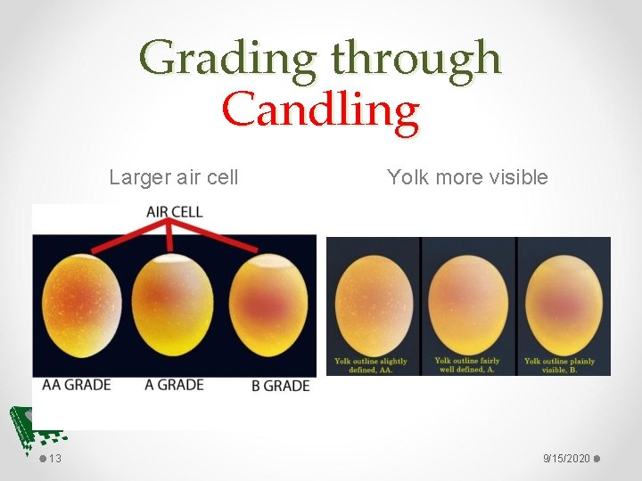 Grading through Candling Larger air cell 13 Yolk more visible 9/15/2020 