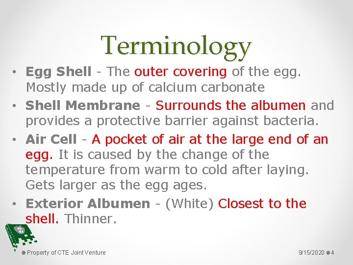 Terminology • Egg Shell - The outer covering of the egg. Mostly made up