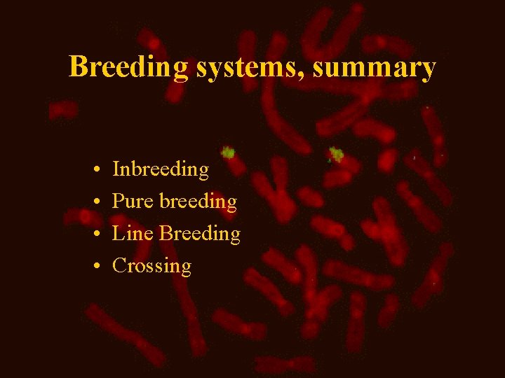 Breeding systems, summary • • Inbreeding Pure breeding Line Breeding Crossing 