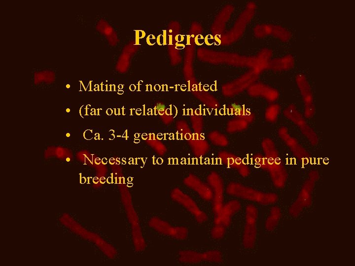 Pedigrees • Mating of non-related • (far out related) individuals • Ca. 3 -4