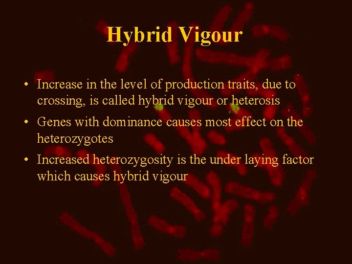 Hybrid Vigour • Increase in the level of production traits, due to crossing, is