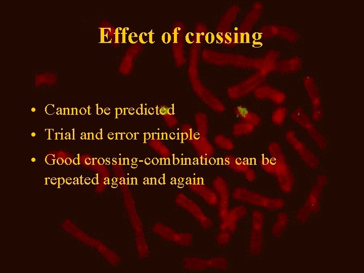 Effect of crossing • Cannot be predicted • Trial and error principle • Good