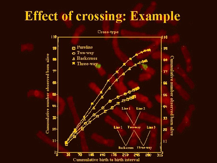 Effect of crossing: Example 