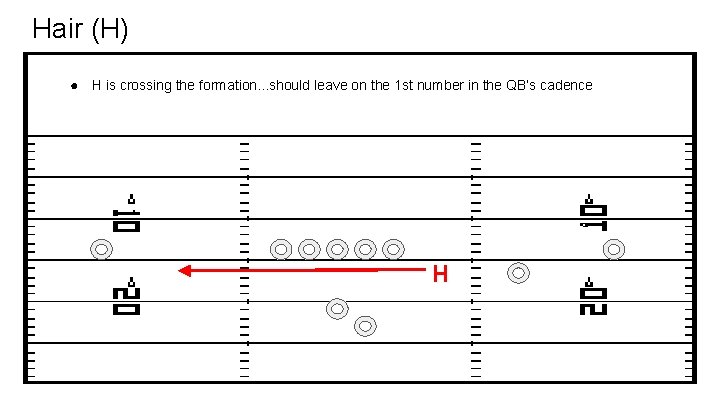 Hair (H) ● H is crossing the formation. . . should leave on the