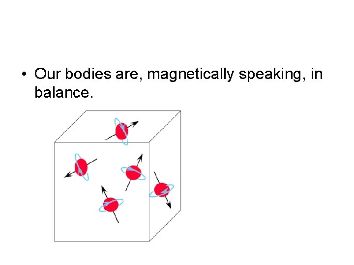 • Our bodies are, magnetically speaking, in balance. 