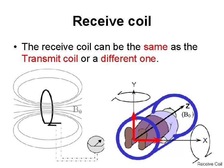 Receive coil • The receive coil can be the same as the Transmit coil