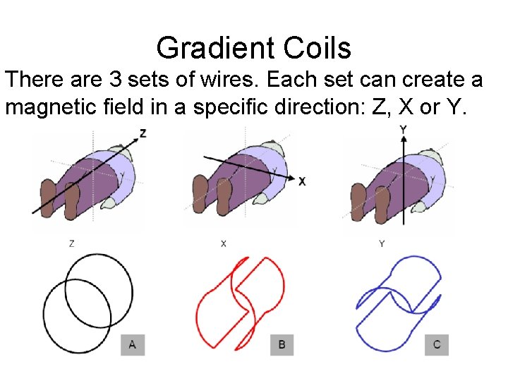 Gradient Coils There are 3 sets of wires. Each set can create a magnetic