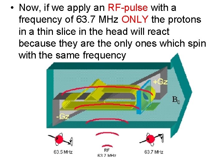  • Now, if we apply an RF-pulse with a frequency of 63. 7