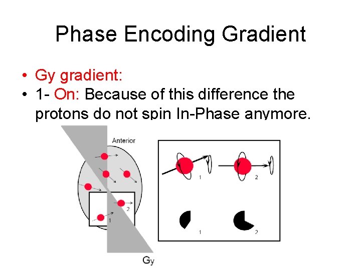 Phase Encoding Gradient • Gy gradient: • 1 - On: Because of this difference