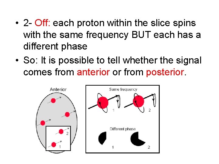  • 2 - Off: each proton within the slice spins with the same