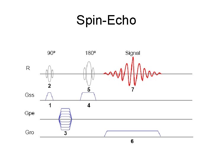 Spin-Echo 
