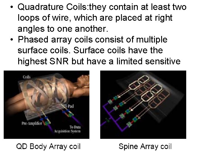  • Quadrature Coils: they contain at least two loops of wire, which are