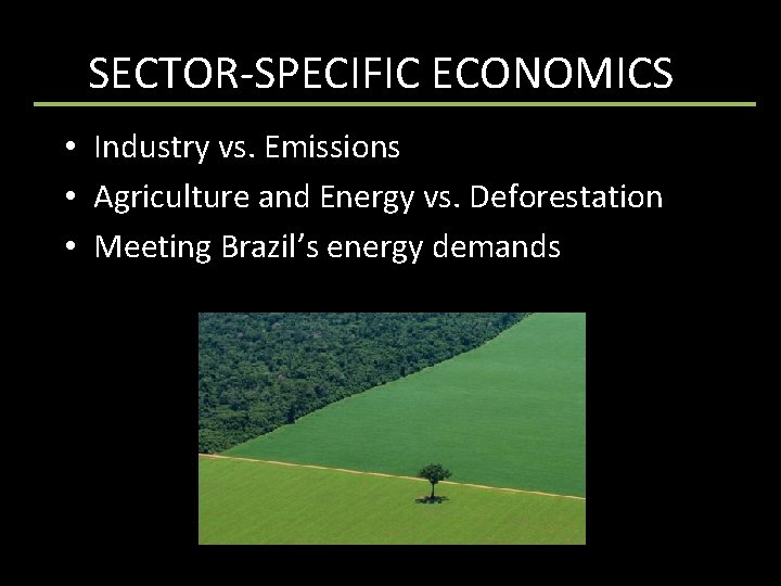 SECTOR-SPECIFIC ECONOMICSs • Industry vs. Emissions • Agriculture and Energy vs. Deforestation • Meeting