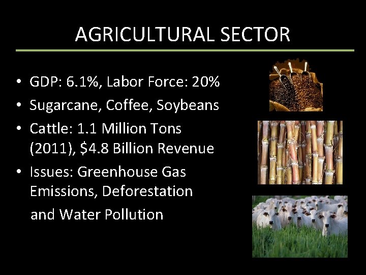 AGRICULTURAL SECTOR • GDP: 6. 1%, Labor Force: 20% • Sugarcane, Coffee, Soybeans •