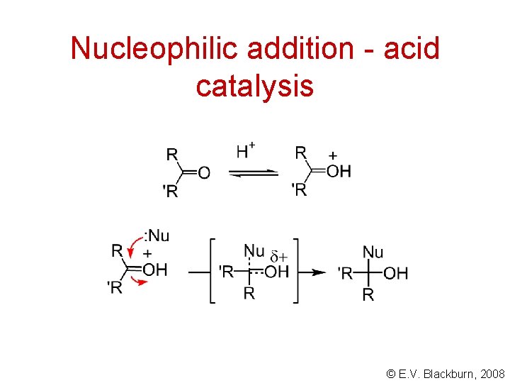 Nucleophilic addition - acid catalysis © E. V. Blackburn, 2008 