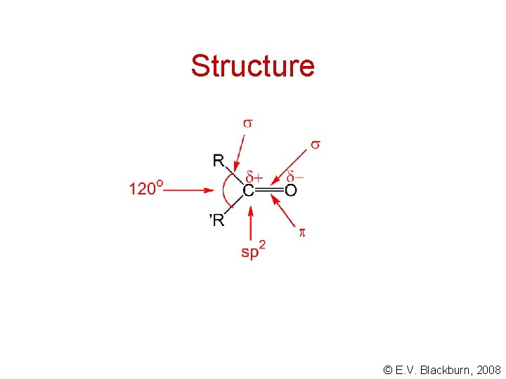 Structure © E. V. Blackburn, 2008 