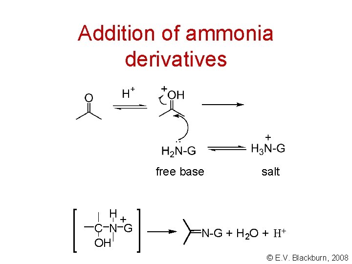 Addition of ammonia derivatives free base H+ C N G OH salt N-G +