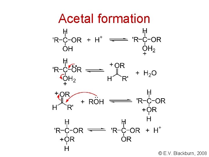 Acetal formation © E. V. Blackburn, 2008 